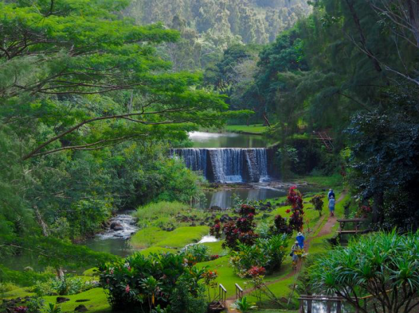 Kauai Hiking