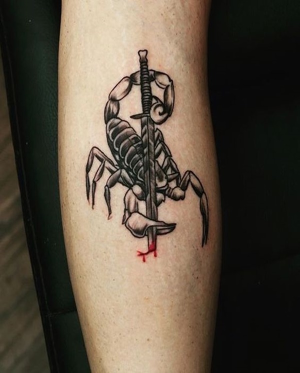 Stunning Scorpion Tattoo Designs For Men and Woman