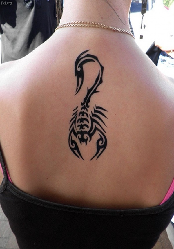 Stunning Scorpion Tattoo Designs For Men and Woman