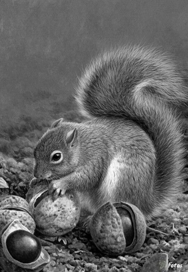 50+ Easy Pencil Drawings of Animals That Look So Realistic