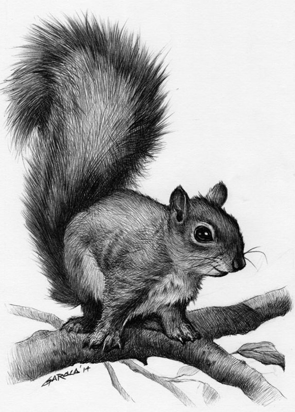 50 Easy Pencil Drawings Of Animals That Look So Realistic