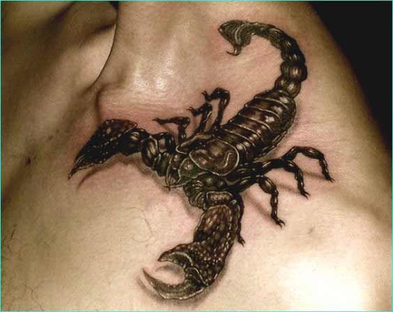 80 Stunning Scorpio Tattoo Designs And Ideas With Meaning 1