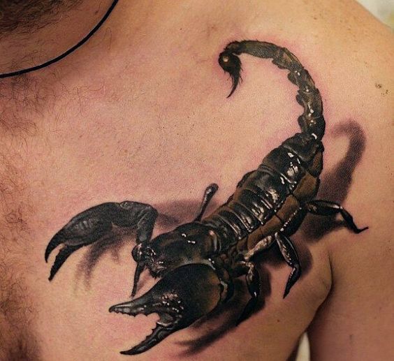 80 Stunning Scorpio Tattoo Designs And Ideas With Meaning 5