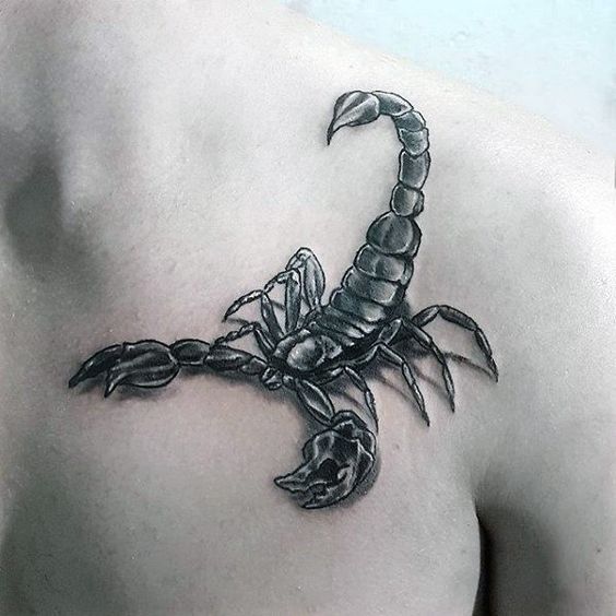 80 Stunning Scorpio Tattoo Designs And Ideas With Meaning 6 1